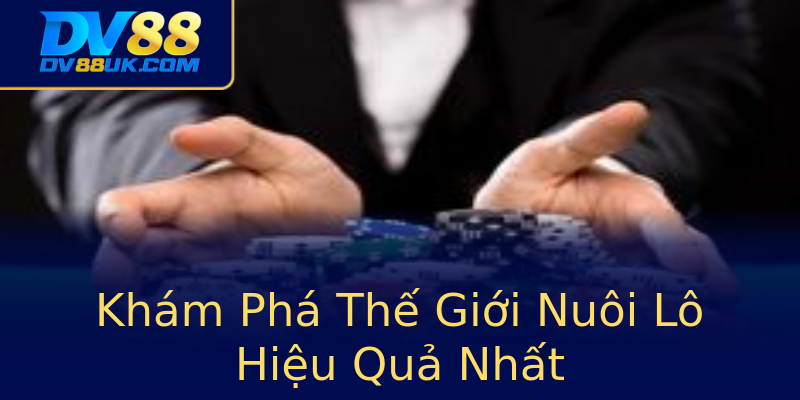 Khám Phá Thế Giới Nuôi Lô Hiệu Quả Nhất Khám Phá Thế Giới Nuôi Lô Hiệu Quả Nhất